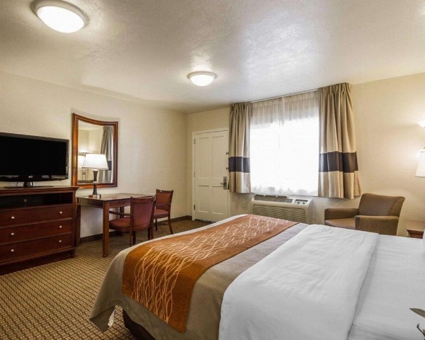 Blu Pacific Hotel image 10