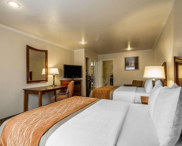 Blu Pacific Hotel image 13