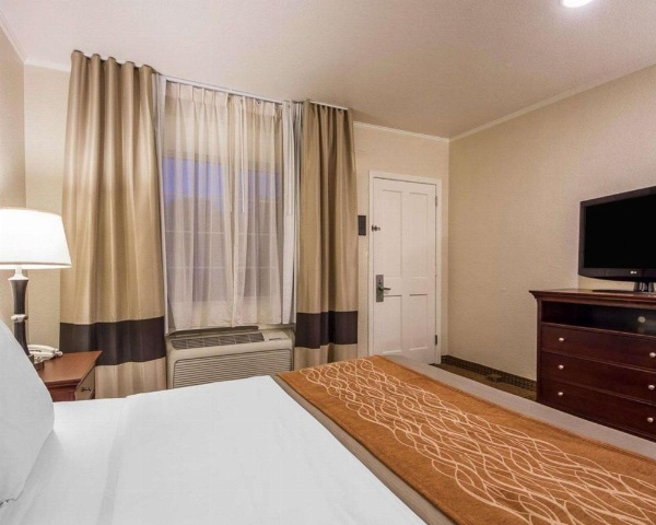 Blu Pacific Hotel image 14